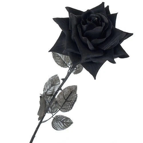 Ramo 12 Rosas Negras - Image 3