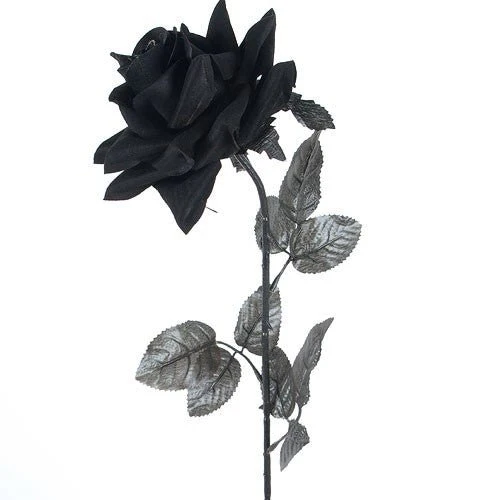 Ramo 6 Rosas Negras - Image 5
